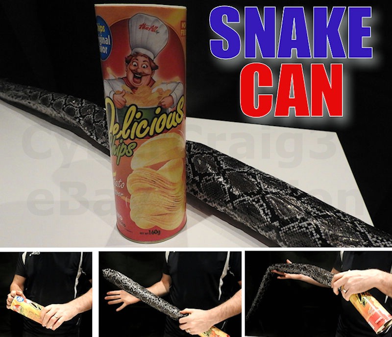 SNAKE IN PRINGLES STYLE POTATO CHIP CAN TUBE CRISP MAGIC TRICK KID MUM
