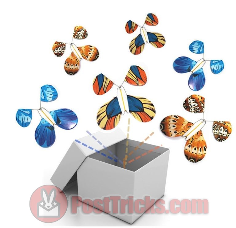 MAGIC FLYING BUTTERFLY IN CARD Post Tricks